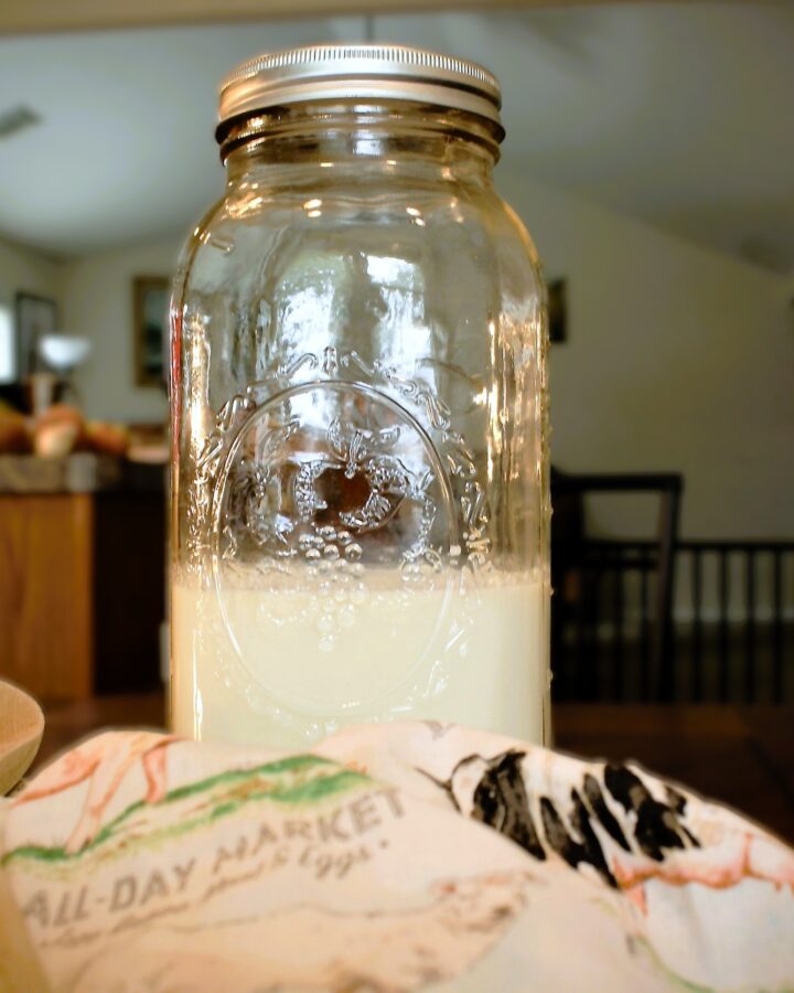 jar of milk kefir on counter with spoonful of kefir grains